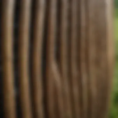 A close-up of lawn thatching rake teeth