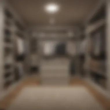 Custom Walk-in Closet Solutions Custom walk-in closet with innovative organization solutions