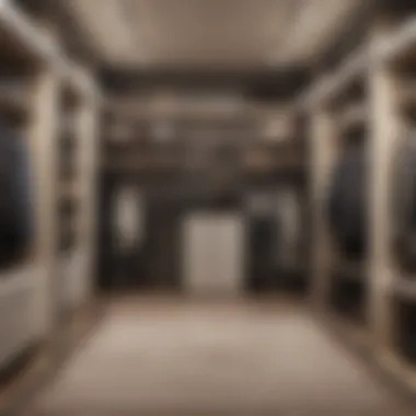 Modern Walk-in Closet Design Elegant walk-in closet showcasing modern design elements
