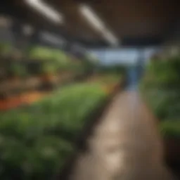 Seasonal trends in vegetable sales