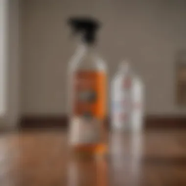 Proper Dilution Techniques for Effective Cleaning Dilution of vinegar in a spray bottle