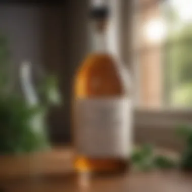 DIY Vinegar Odor Eliminator DIY vinegar odor eliminator in a glass bottle with natural ingredients