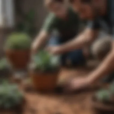 A gardener observing the moisture level in the soil of a succulent pot