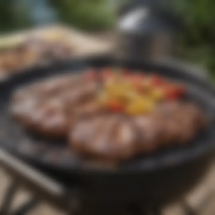 Delicious grilled dishes prepared on a Weber BBQ Spirit grill, showcasing culinary possibilities.