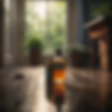 Natural Scents That Repel Spiders Natural scents that repel spiders in a home setting