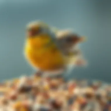Bird Enjoying a Seed Blend Close-up of a bird enjoying a mixed seed blend