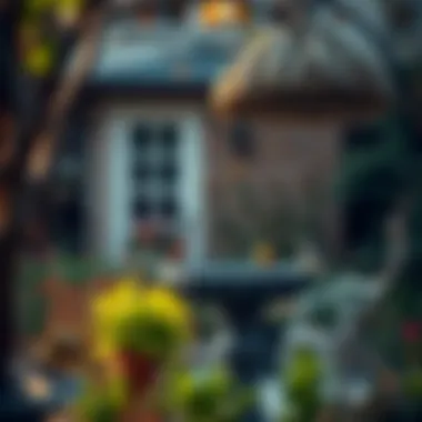 Garden Enriching Bird Haven An outdoor garden setting with a birdbath and feeding station