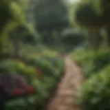 Lush vegetable garden in full bloom